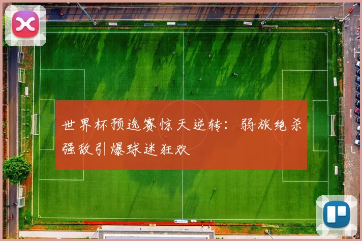 世界杯预选赛惊天逆转:弱旅绝杀强敌引爆球迷狂欢