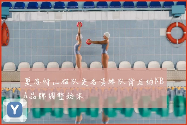 夏洛特山猫队更名黄蜂队背后的NBA品牌调整始末