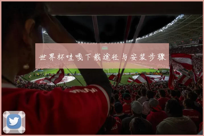 世界杯哇嘎下载途径与安装步骤