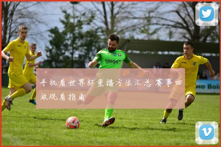 手机看世界杯重播方法汇总 赛事回放观看指南