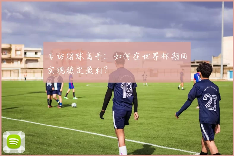 专访赌球高手:如何在世界杯期间实现稳定盈利?