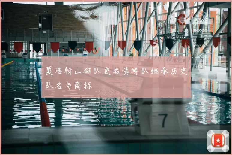 夏洛特山猫队更名黄蜂队继承历史队名与商标