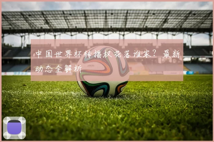 中国世界杯转播权花落谁家?最新动态全解析