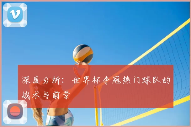 深度分析：世界杯夺冠热门球队的战术与前景