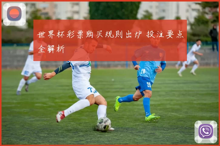 世界杯彩票购买规则出炉 投注要点全解析