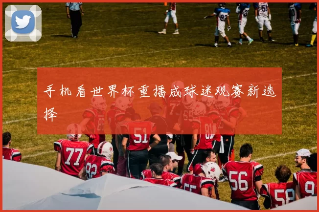 手机看世界杯重播成球迷观赛新选择