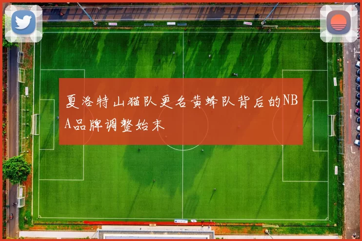 夏洛特山猫队更名黄蜂队背后的NBA品牌调整始末
